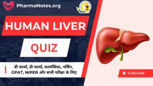 Human Liver Multiple Choice Question