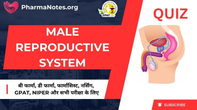 Male Reproductive System Multiple Choice Question