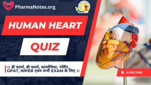 Human Heart Multiple Choice Questions