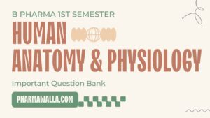 Human Anatomy and Physiology 1st Semester Important Question